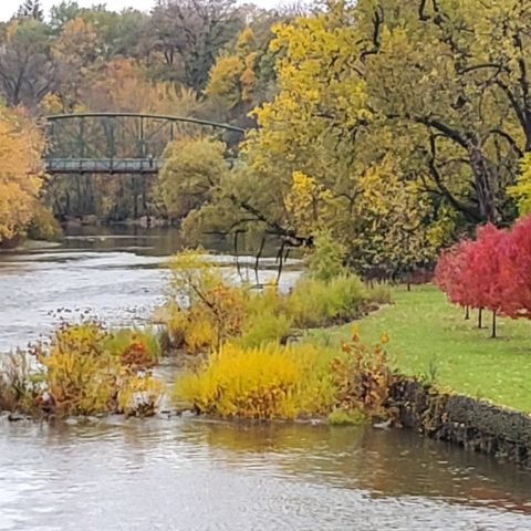Downtime fall walk