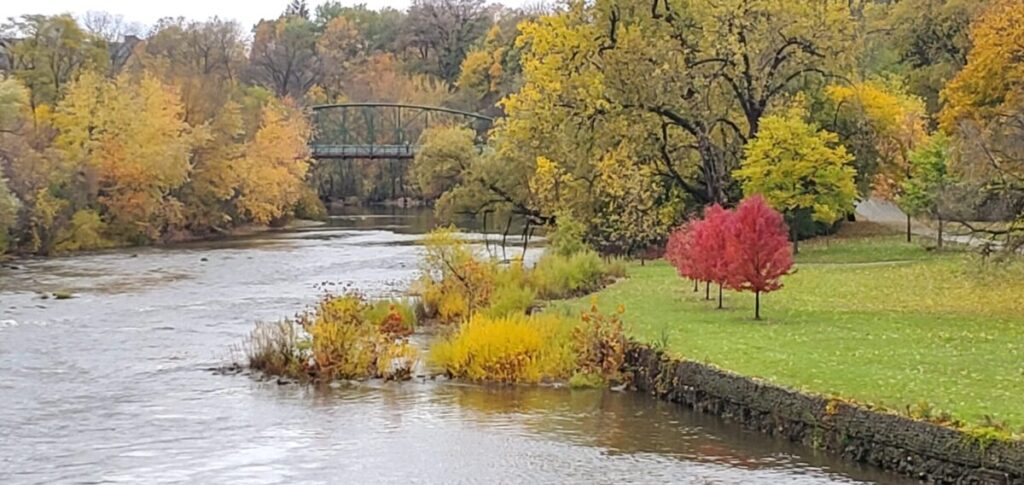 Downtime fall walk