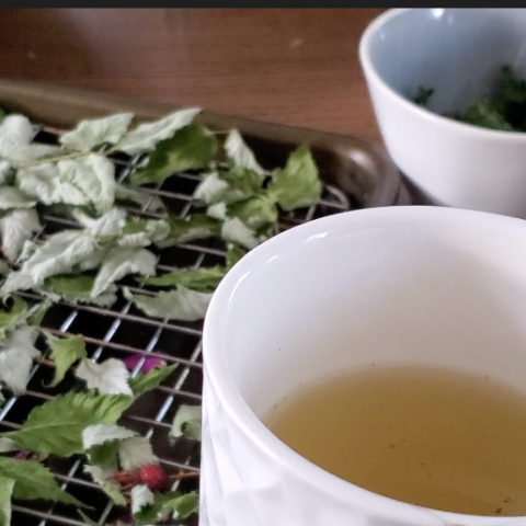 herbal tea